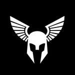 toughviking profile picture