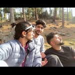towfee_.sofi profile picture