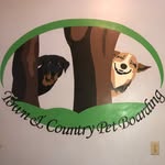 town_and_country_dogcamp profile picture