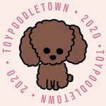 toypoodletown profile picture