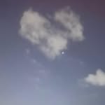 traceys.tripn profile picture