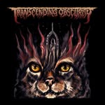 transcendingobscurity profile picture