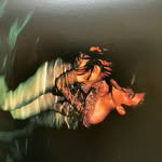 transheartthrobb profile picture