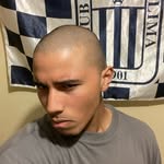 trapnebu profile picture