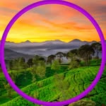 travel.tourism.co profile picture