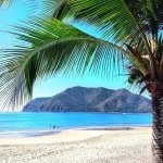 travelawesome profile picture