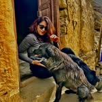 travel_bliss_s profile picture