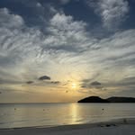 travelvetvoyager profile picture