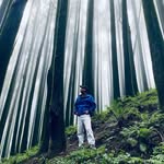 travel_with_souravroy profile picture