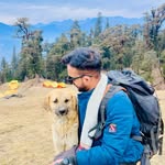 travelwithvishii profile picture