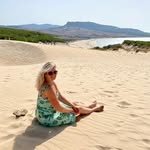 travelwords.nl profile picture