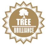 tree_brilliance profile picture