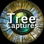 tree_captures profile picture