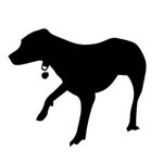 treefootproductions profile picture
