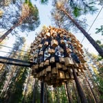 treehotel profile picture