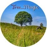 tree_magic profile picture