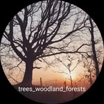 trees_woodland_forests profile picture