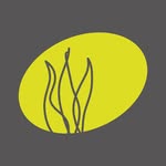 tremenheeresculpturegardens profile picture
