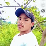 trepekatili profile picture