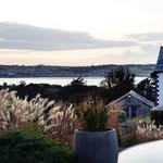 treverrafarm profile picture