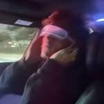 trevorzegras profile picture