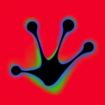tribe.rec profile picture