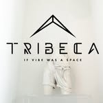 tribecahtx profile picture