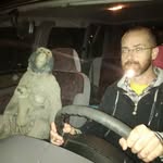 triceratopsimon profile picture