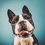 trinity.approved profile picture