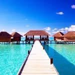 tripfever profile picture