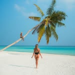 tripseatravellers profile picture