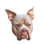 trip_the_clefty_bully profile picture