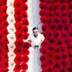 tripwithmp profile picture
