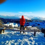 tri_shan_ku profile picture