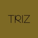 triz_lab profile picture