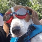 troopers2cute profile picture
