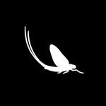 troutandcoffee profile picture