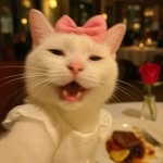 trshiaaull1 profile picture