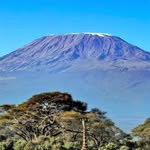 trust.tours.safaristanzania profile picture