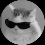 ttr.samir profile picture