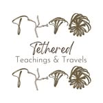tttethered profile picture