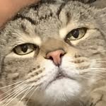 tubbyoldman profile picture