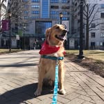 tucker.b.golden profile picture