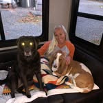 tucker_and_athena_adventures profile picture