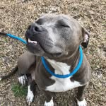 tula_blu profile picture