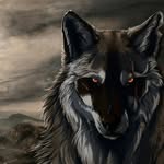 tulenev.s.a profile picture