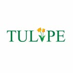 tulipeegypt profile picture