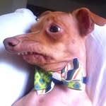 tunameltsmyheart profile picture