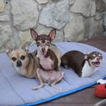 turboroo profile picture