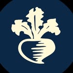 turnipsborough profile picture